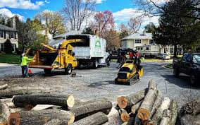 Best Seasonal Cleanup (Spring/Fall)  in Wilmington Island, GA