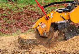 Best Lawn Watering Services  in Wilmington Island, GA